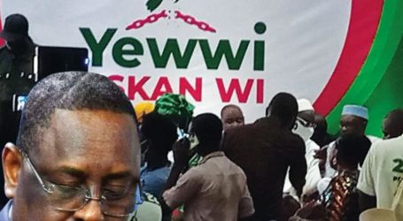 Communiqué : Yewwi Askan Wi persiste et signe sa liste nationale est recevable contrairement à celle de Benno