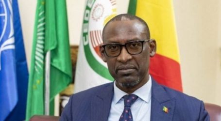 Mission de Macky Sall et Cie : “Si c’est pour imposer des décisions au Mali, cela ne passera pas” (Abdoulaye Diop)