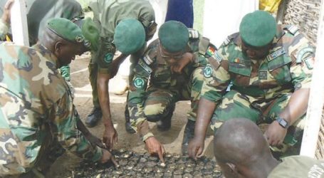Sur le terrain, aucun agent des Eaux, Forêts n’a encore vu les armes que devait livrer le Nigérien Aboubakar Hima dit Petit Boubé.