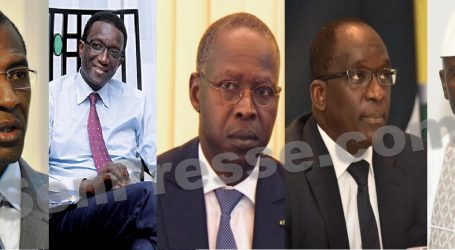 Les 5 dauphins de Macky SALL