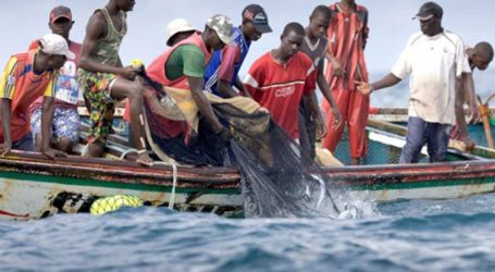 Octroi de nouvelles licences de pêches : les requérants dans l’attente du verdict de la commission de validation